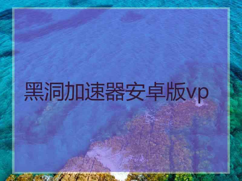 黑洞加速器安卓版vp