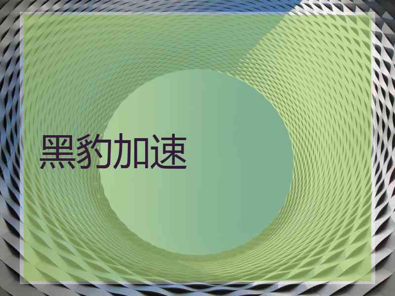 黑豹加速