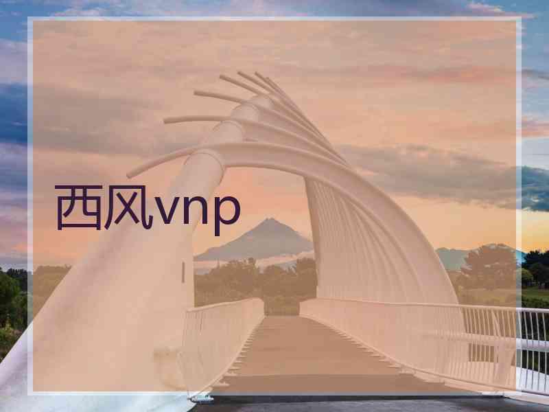 西风vnp