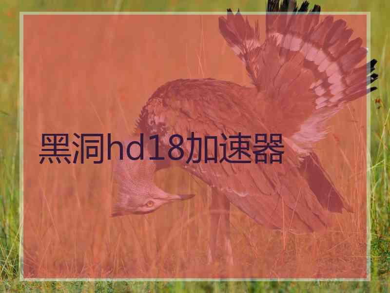 黑洞hd18加速器