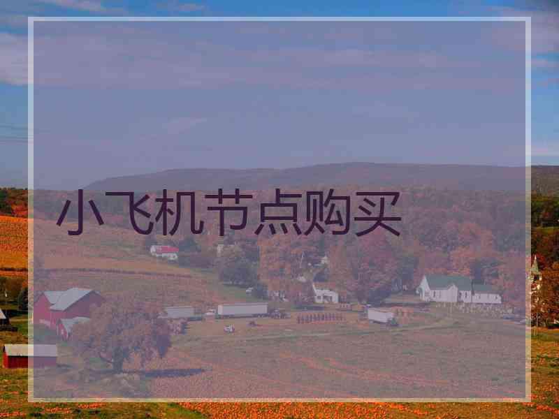 小飞机节点购买