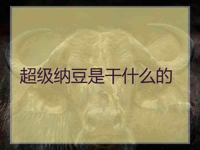超级纳豆是干什么的