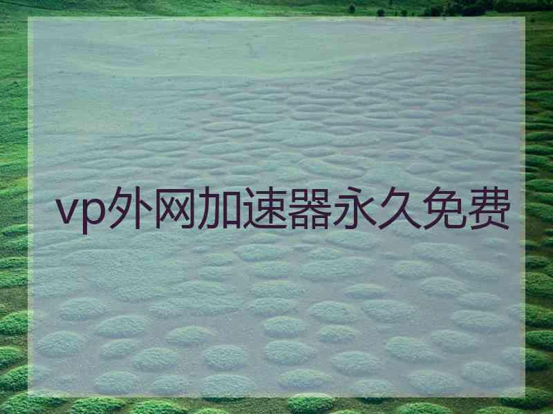 vp外网加速器永久免费