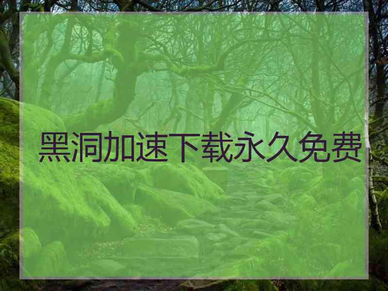 黑洞加速下载永久免费