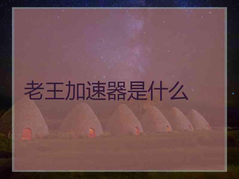 老王加速器是什么