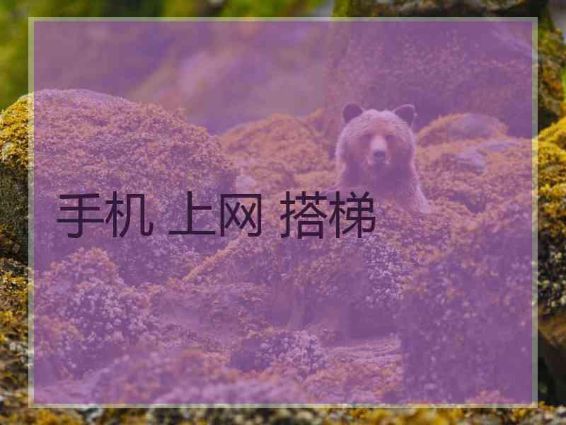 手机 上网 搭梯