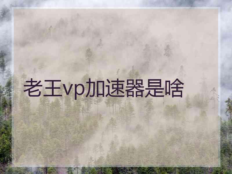 老王vp加速器是啥