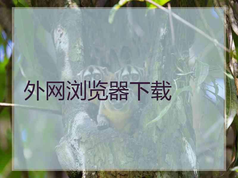 外网浏览器下载
