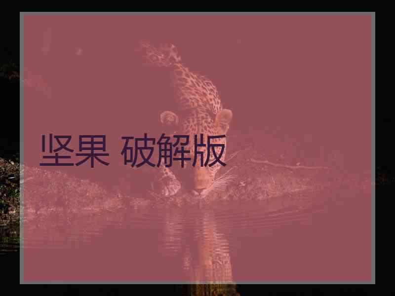 坚果 破解版