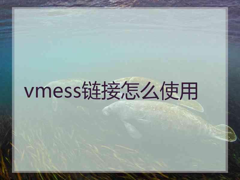 vmess链接怎么使用