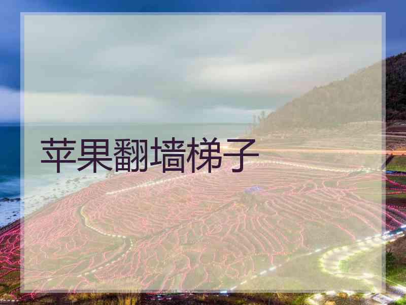 苹果翻墙梯子