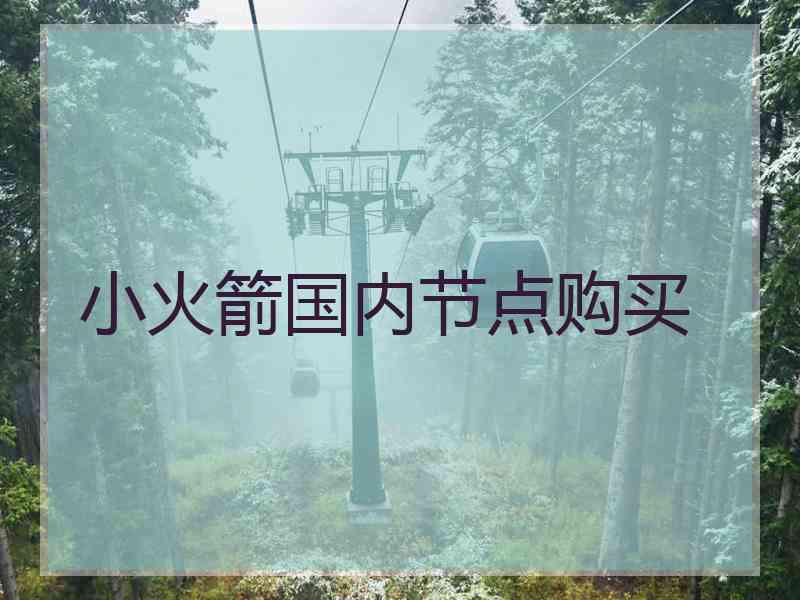 小火箭国内节点购买