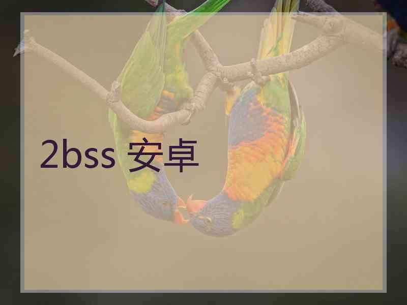 2bss 安卓
