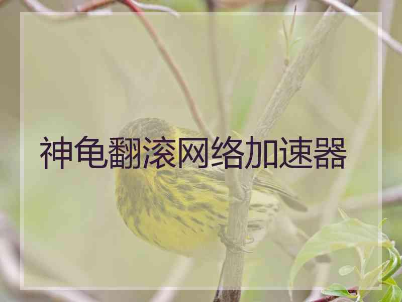 神龟翻滚网络加速器