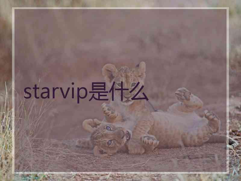 starvip是什么