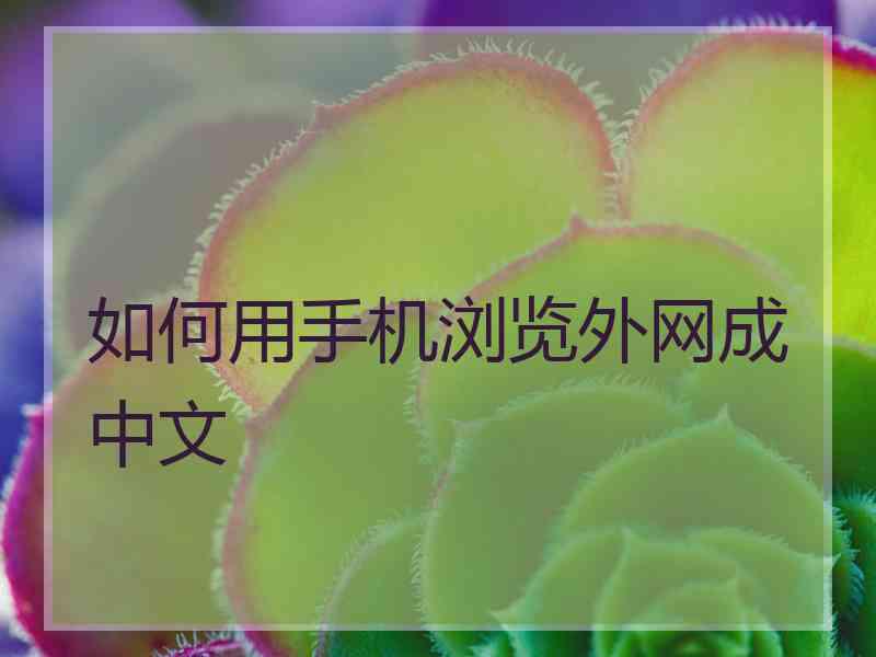 如何用手机浏览外网成中文