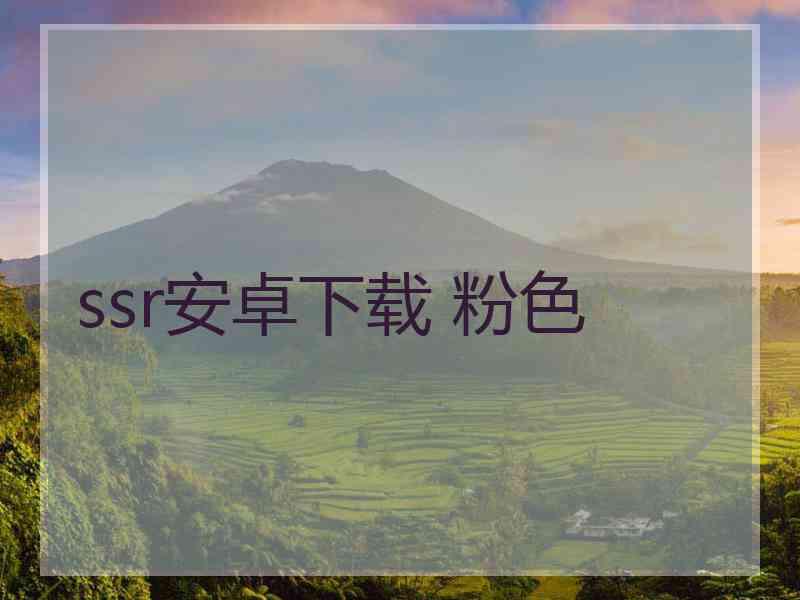 ssr安卓下载 粉色