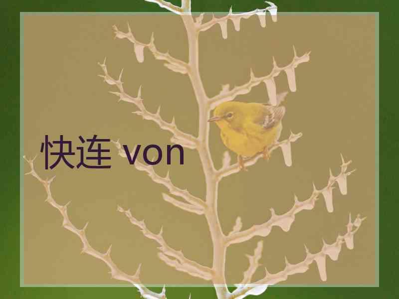快连 von