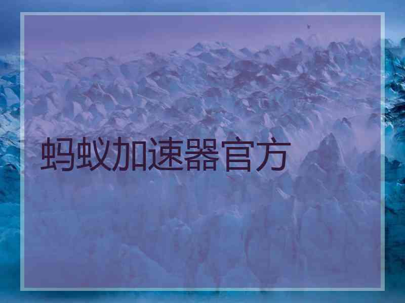 蚂蚁加速器官方