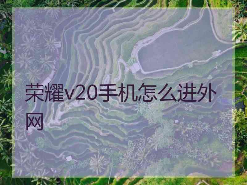 荣耀v20手机怎么进外网