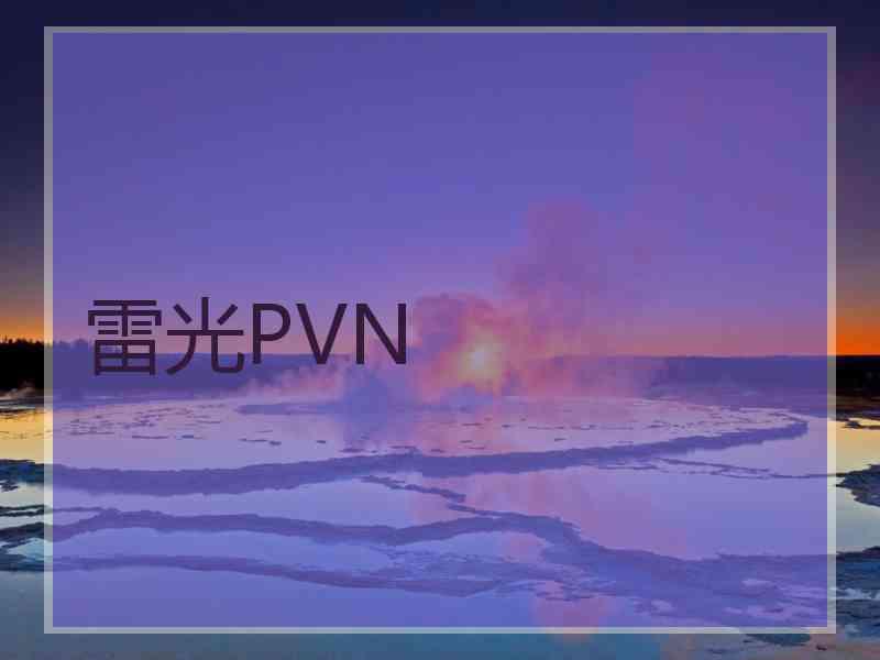 雷光PVN