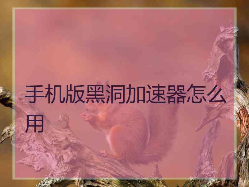 手机版黑洞加速器怎么用