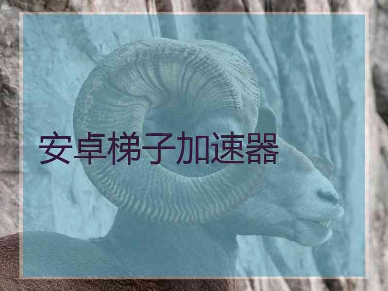 安卓梯子加速器