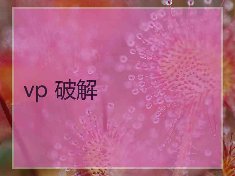 vp 破解