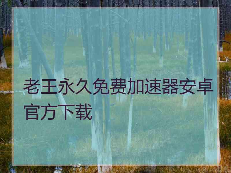 老王永久免费加速器安卓官方下载
