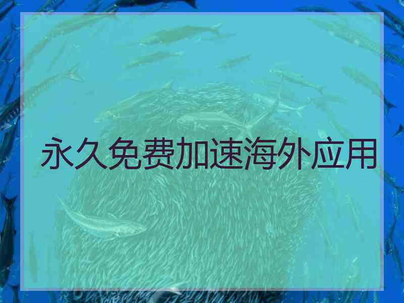 永久免费加速海外应用