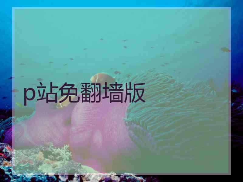 p站免翻墙版