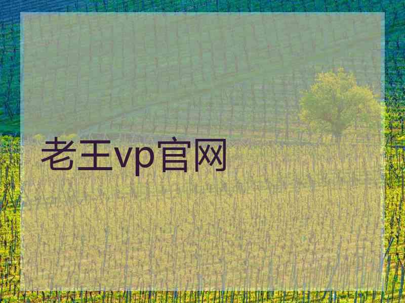 老王vp官网