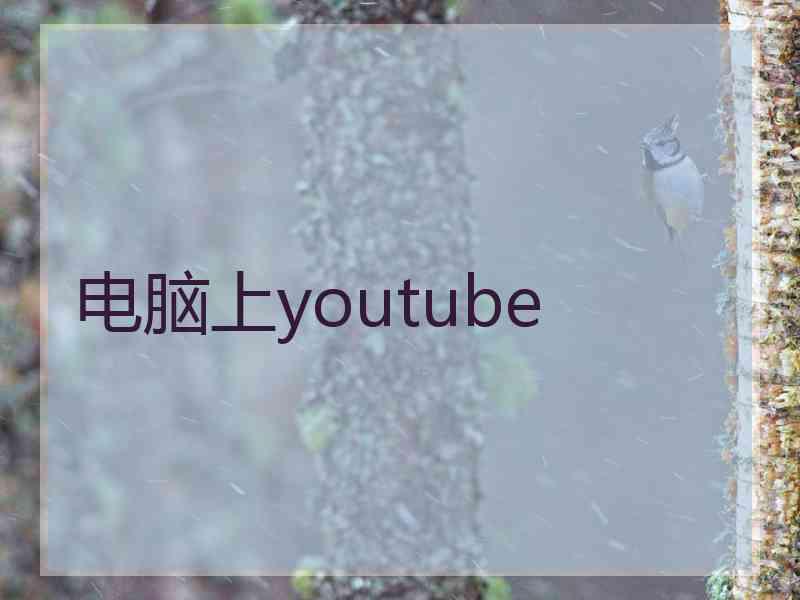 电脑上youtube