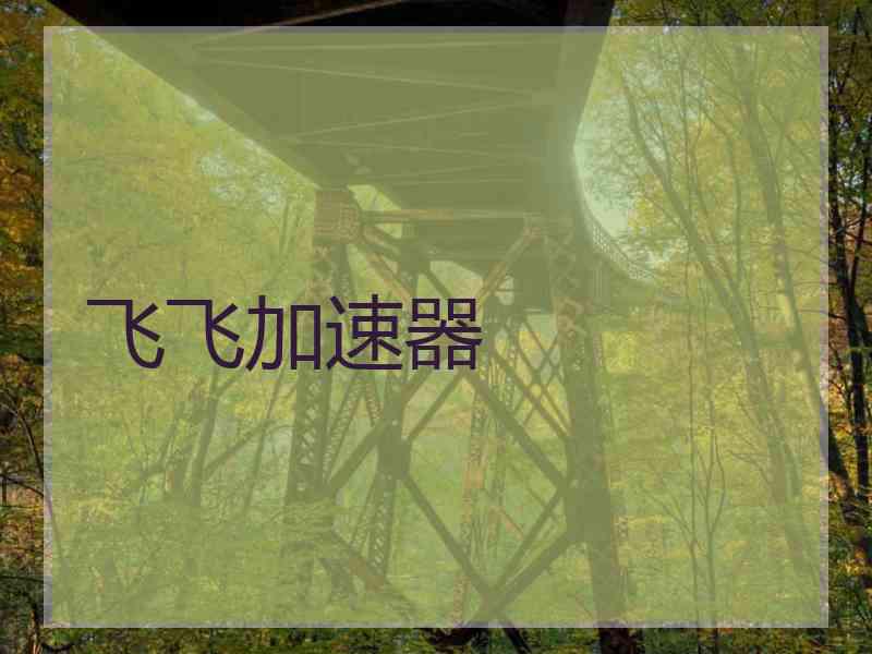 飞飞加速器