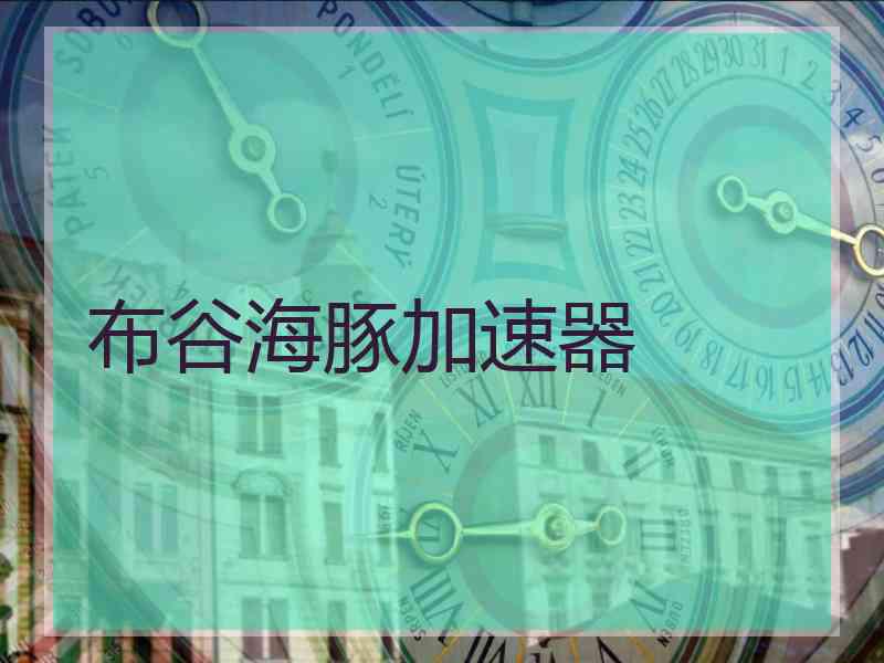 布谷海豚加速器