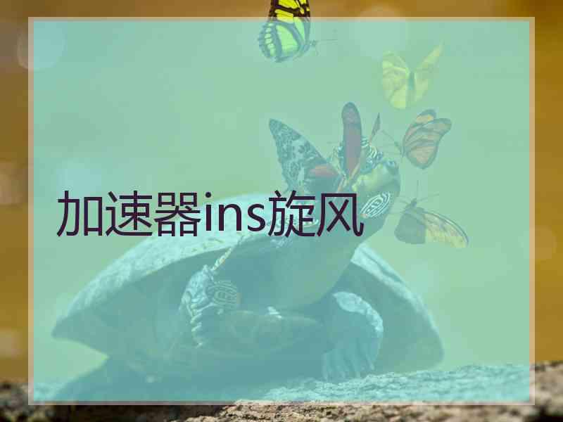 加速器ins旋风