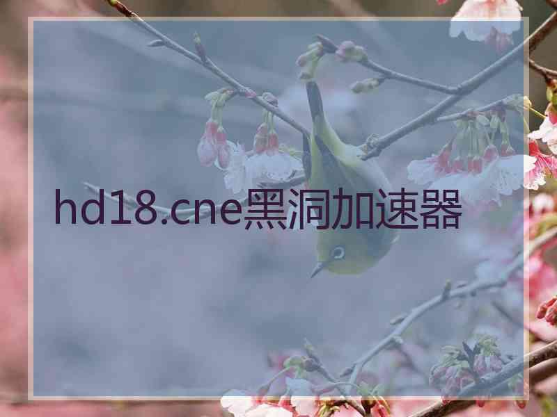 hd18.cne黑洞加速器