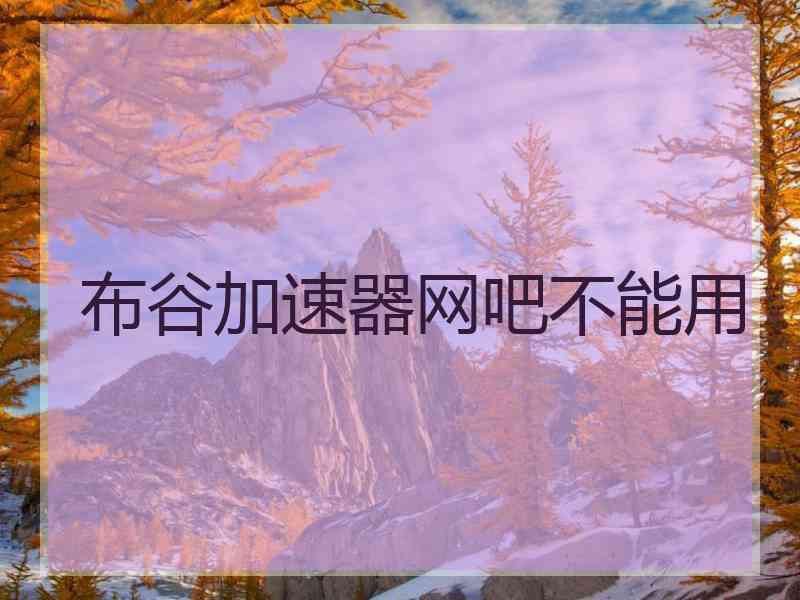 布谷加速器网吧不能用