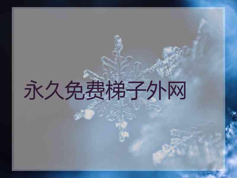 永久免费梯子外网