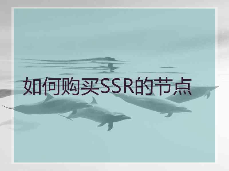如何购买SSR的节点