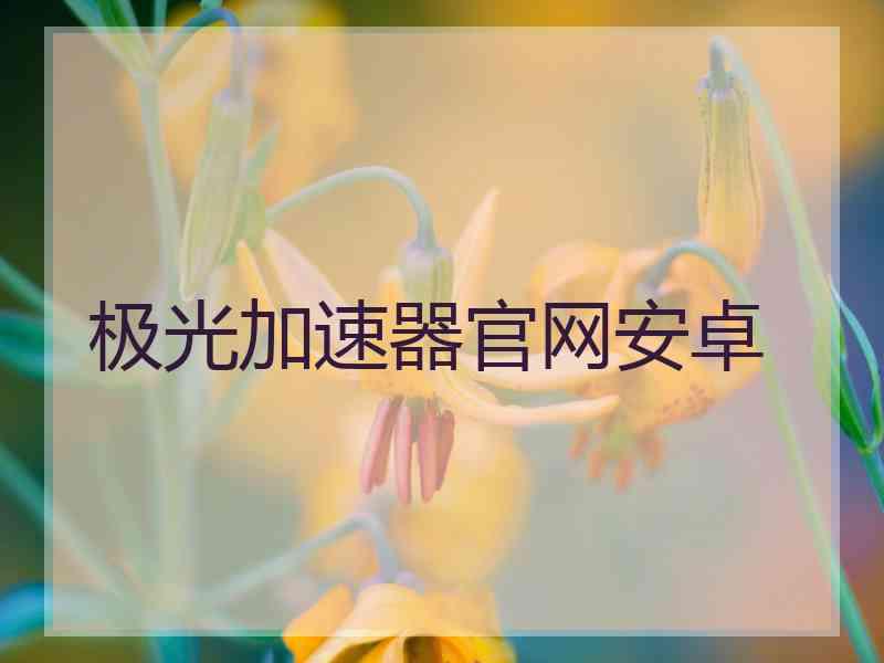 极光加速器官网安卓