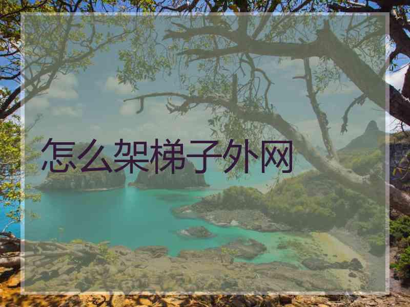 怎么架梯子外网