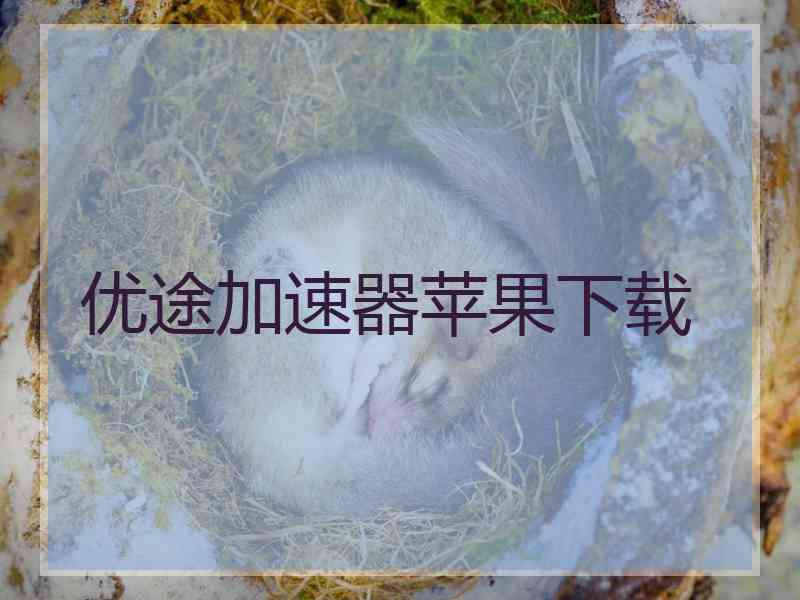 优途加速器苹果下载