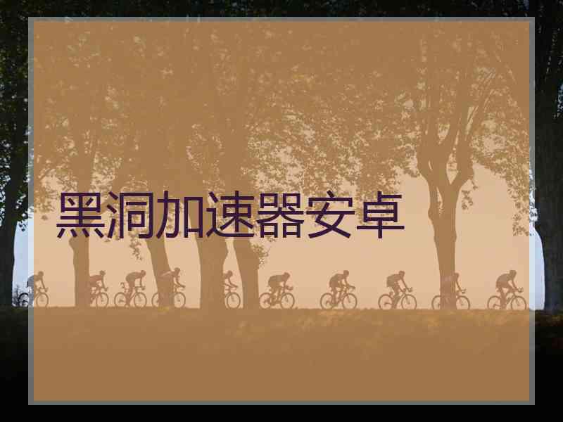黑洞加速器安卓