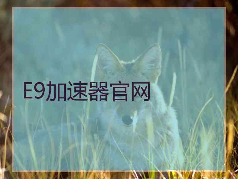 E9加速器官网