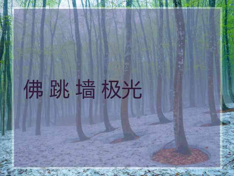 佛 跳 墙 极光