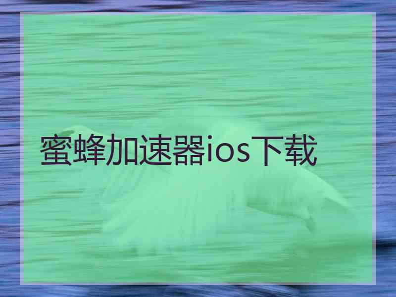 蜜蜂加速器ios下载