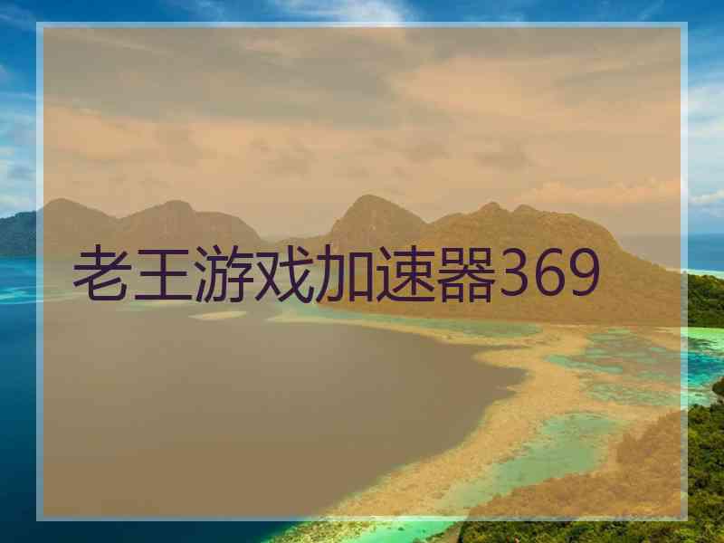 老王游戏加速器369