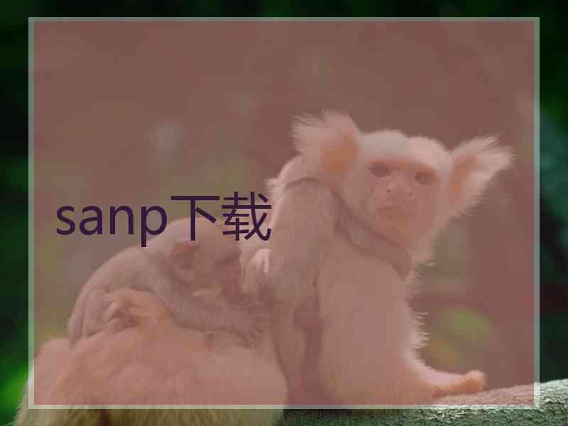 sanp下载