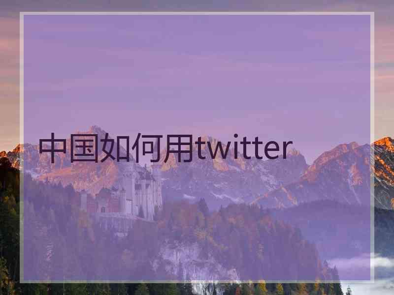 中国如何用twitter